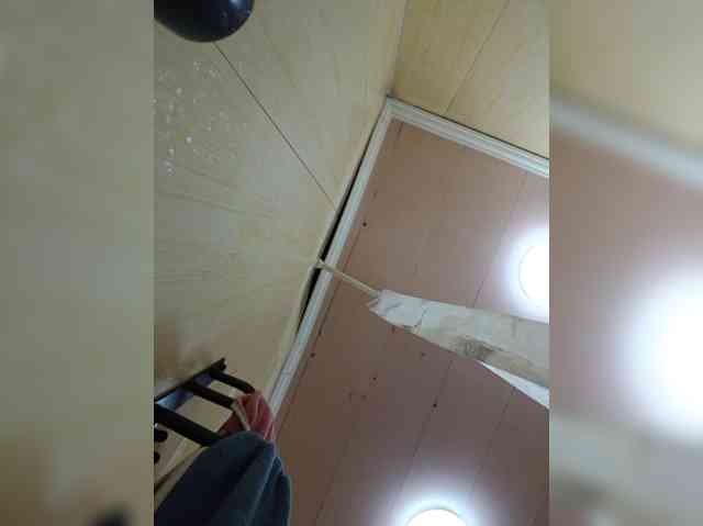 Zarevna webcam