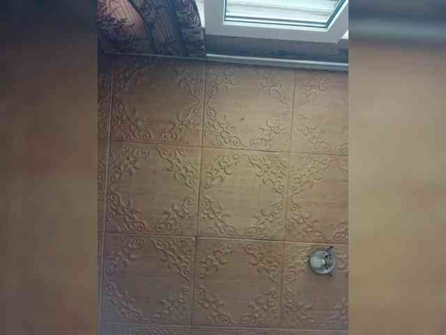 Zarevna webcam