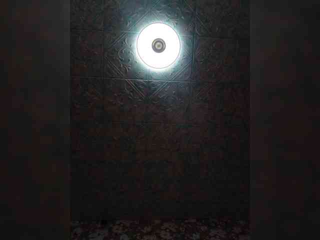 Zarevna webcam