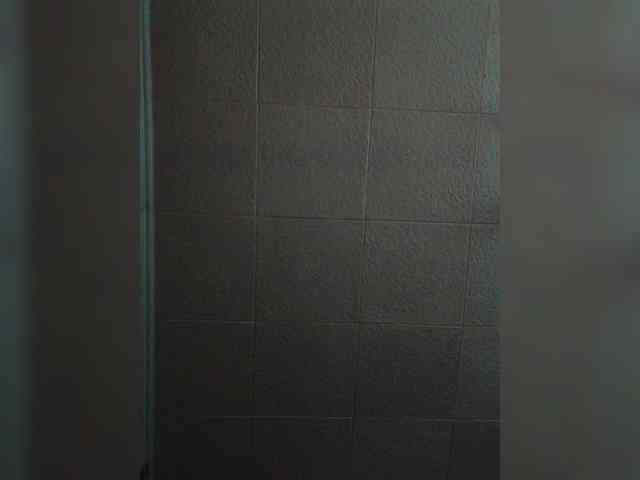 Zarevna webcam