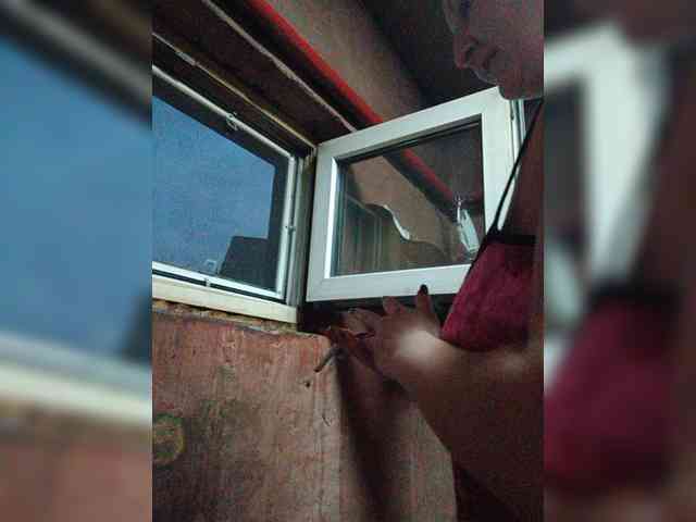 Zarevna webcam