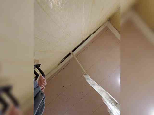 Zarevna webcam