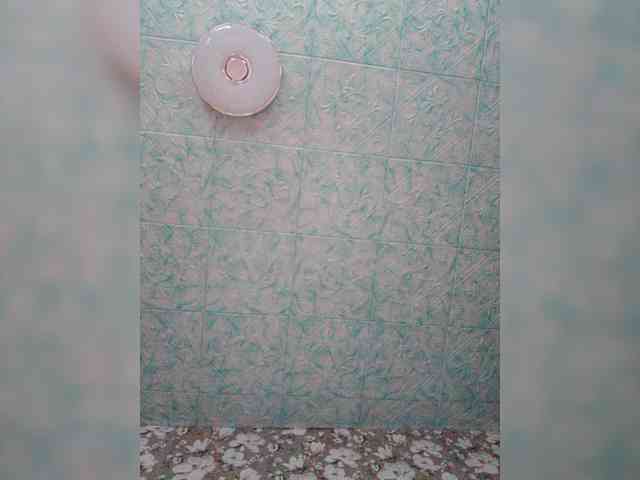 Zarevna webcam