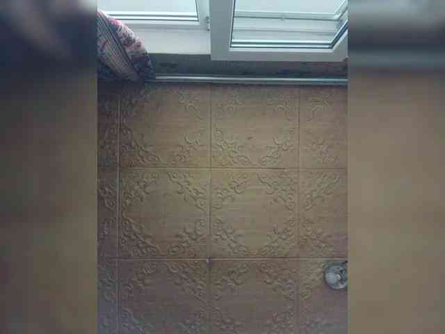 Zarevna webcam