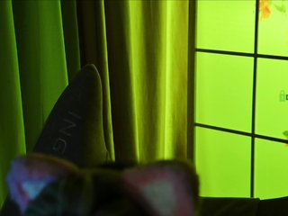 -ANN