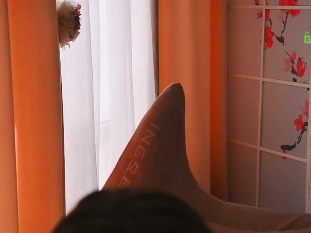 -ANN live webcam show