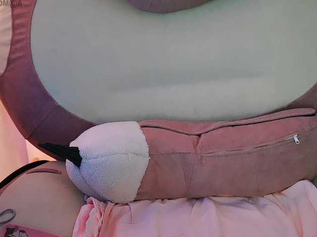 -ANN live webcam show