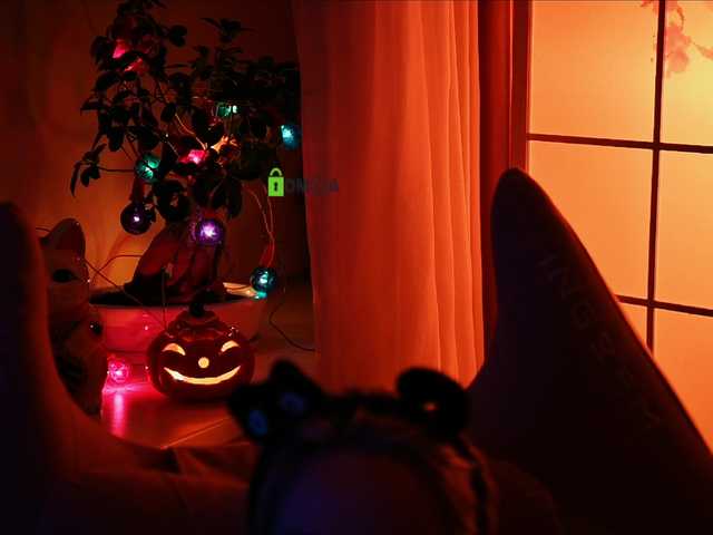 00-00- live cam on BongaCams