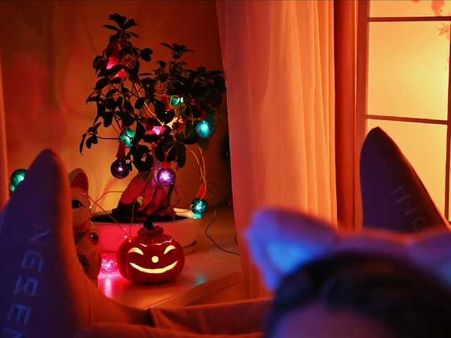 00-00- live cam on BongaCams
