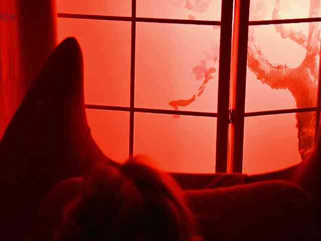 -ANN webcam