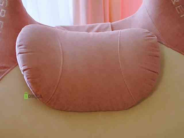 -ANN webcam