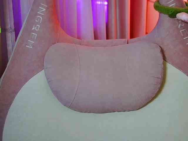 -ANN webcam
