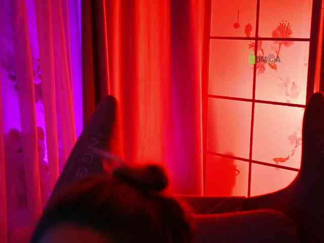 -ANN webcam
