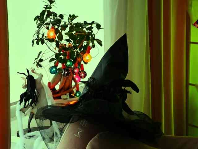 -ann's live room