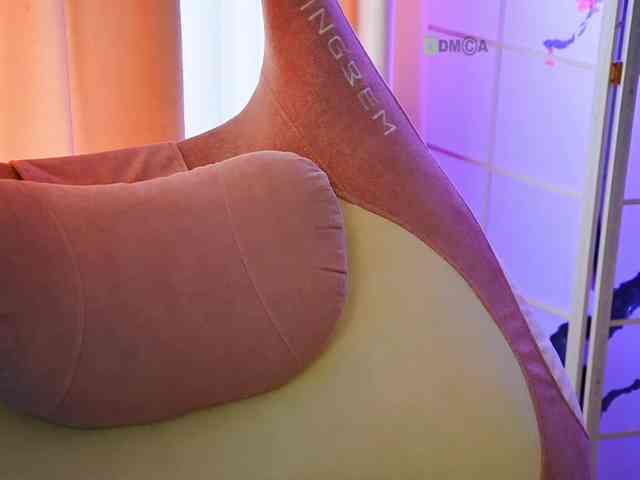 -ANN webcam