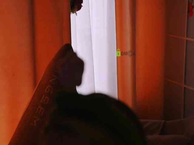 -ANN webcam