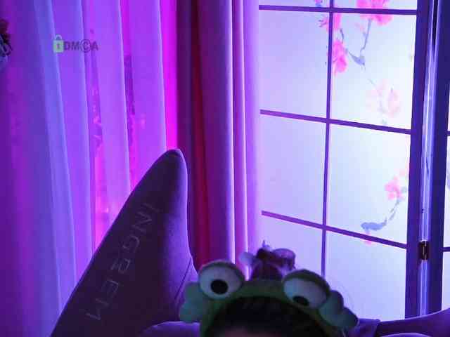 -ANN webcam