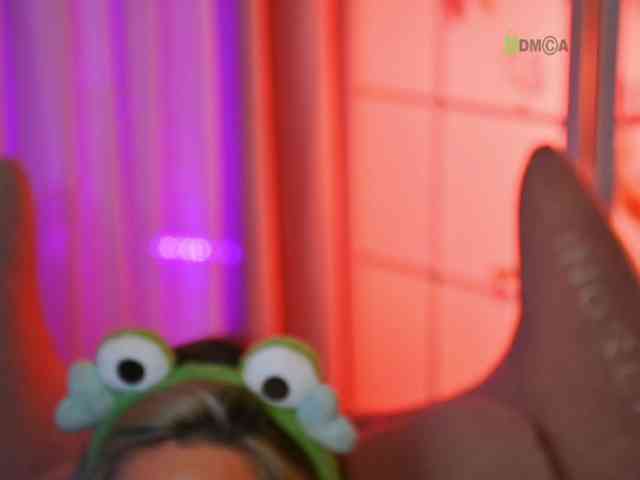-ANN webcam