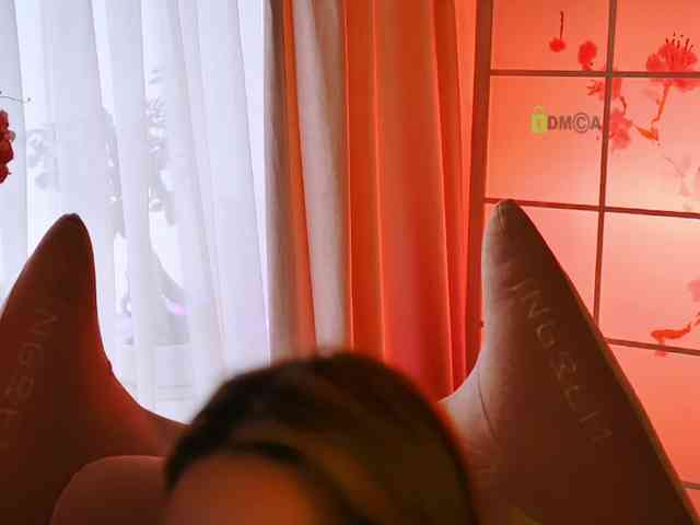 -ANN webcam