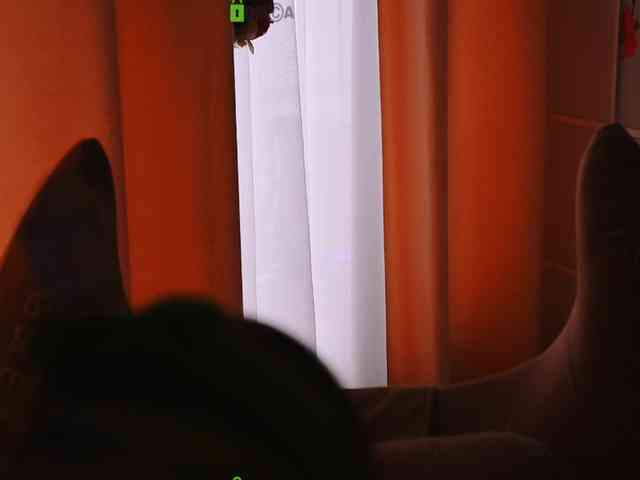 -ANN webcam