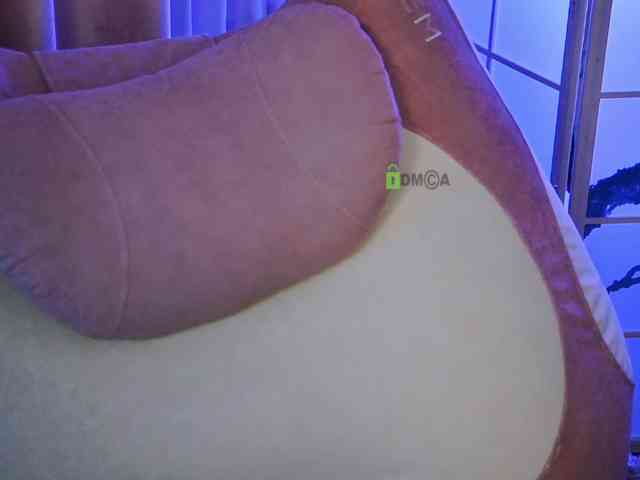 -ANN webcam