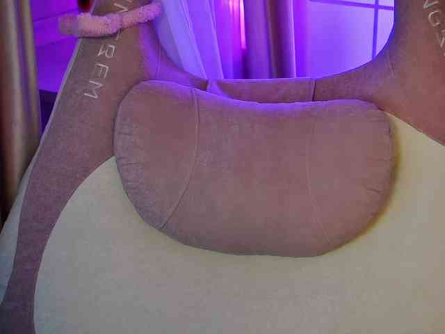-ANN webcam