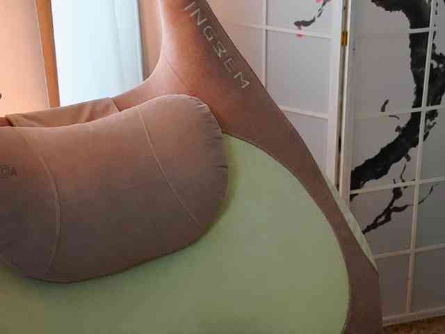 -ANN webcam