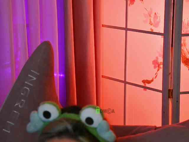 -ANN webcam