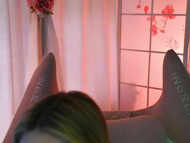-ANN webcam
