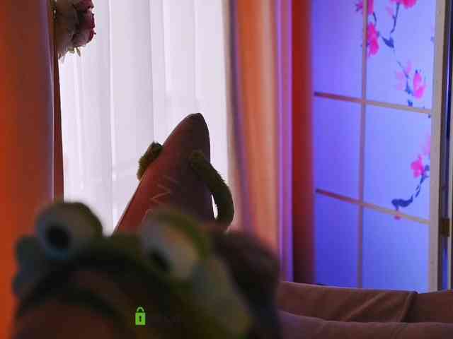 -ANN webcam