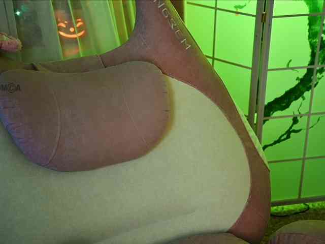 -ANN webcam