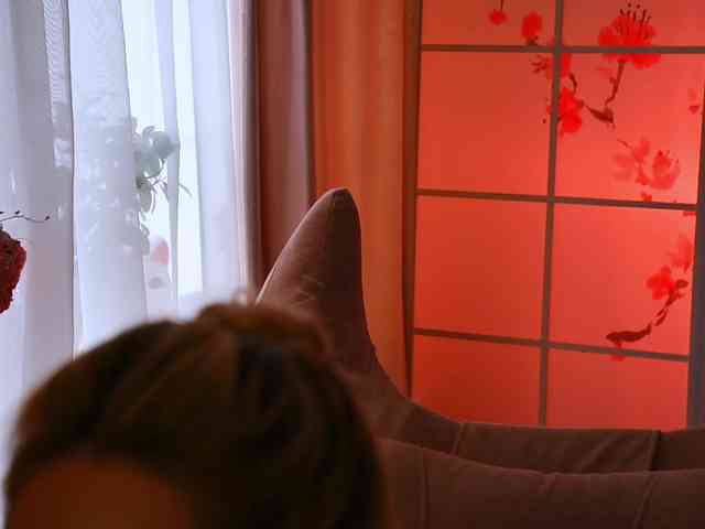 -ANN webcam