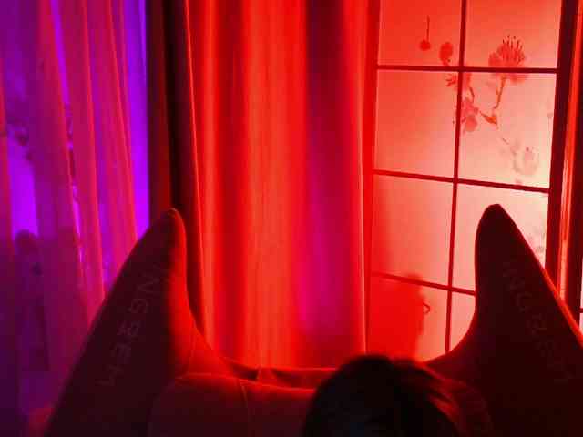 -ANN webcam