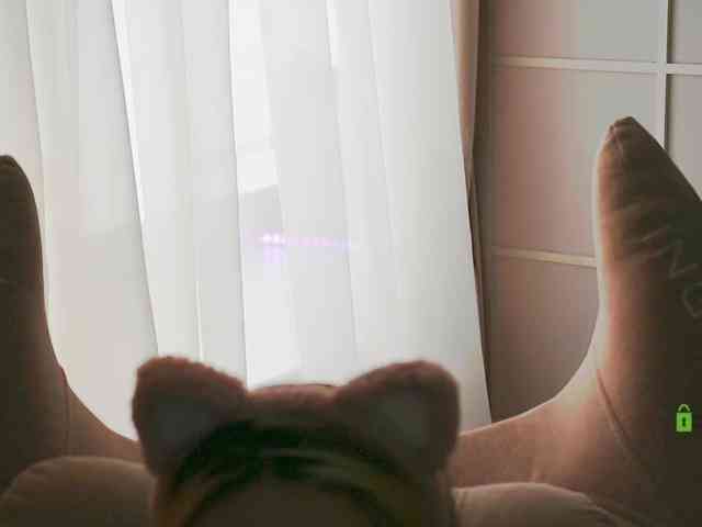-ANN webcam