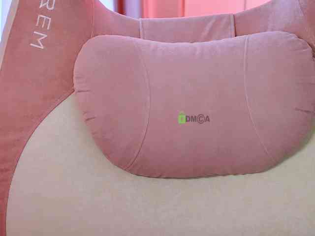 -ANN webcam