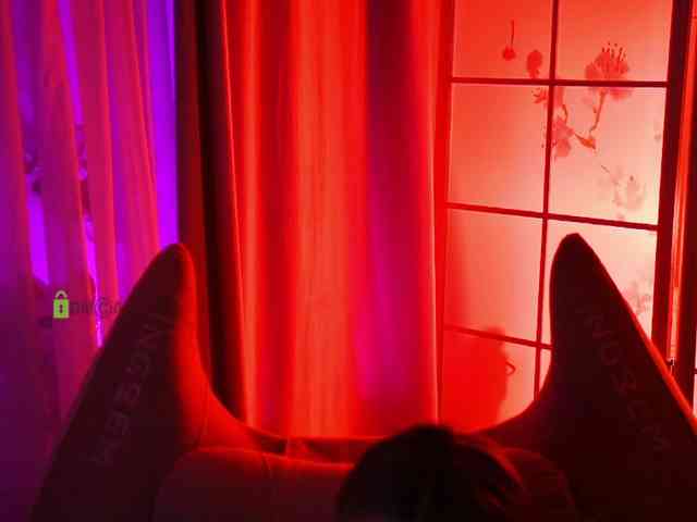 -ANN webcam