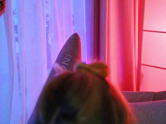 -ANN webcam