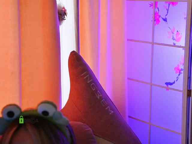 -ANN webcam