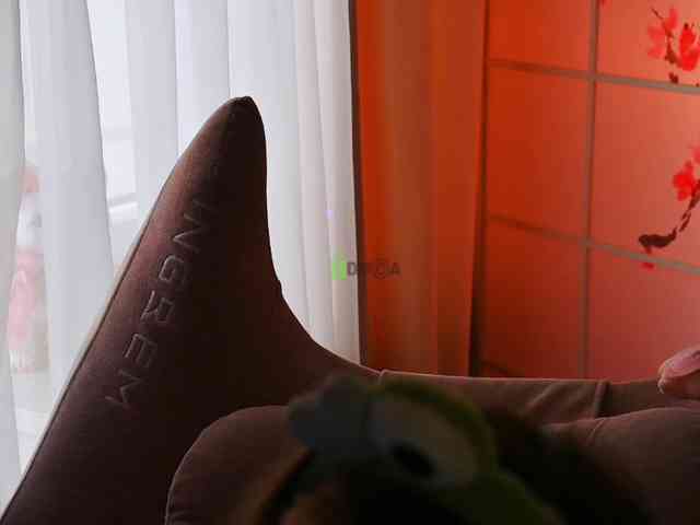 -ANN webcam