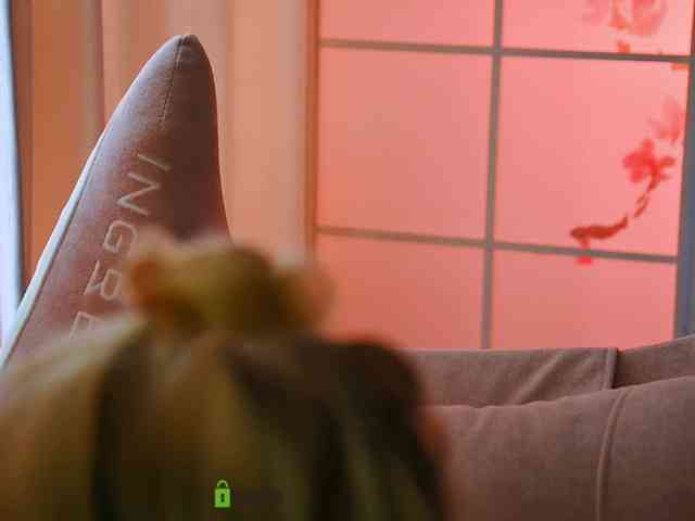 -ANN webcam