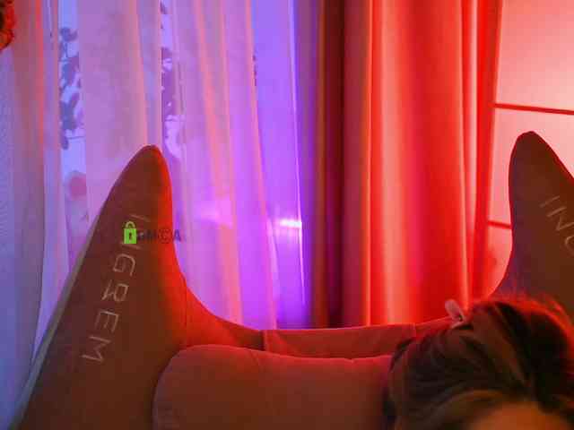-ANN webcam