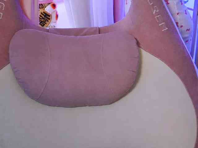 -ANN webcam