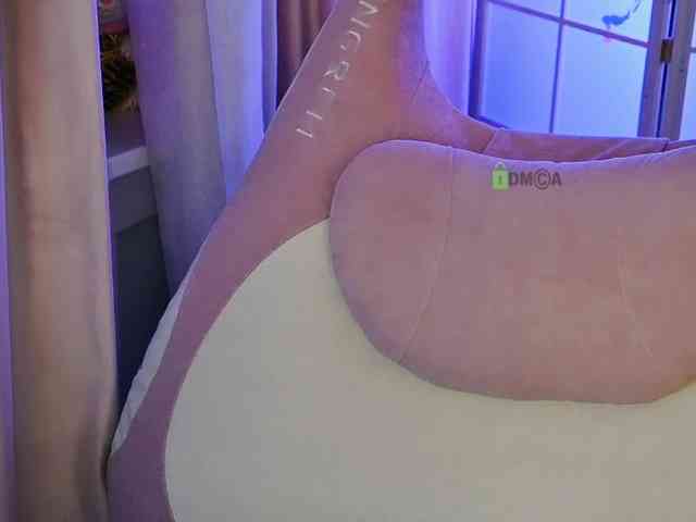 -ANN webcam