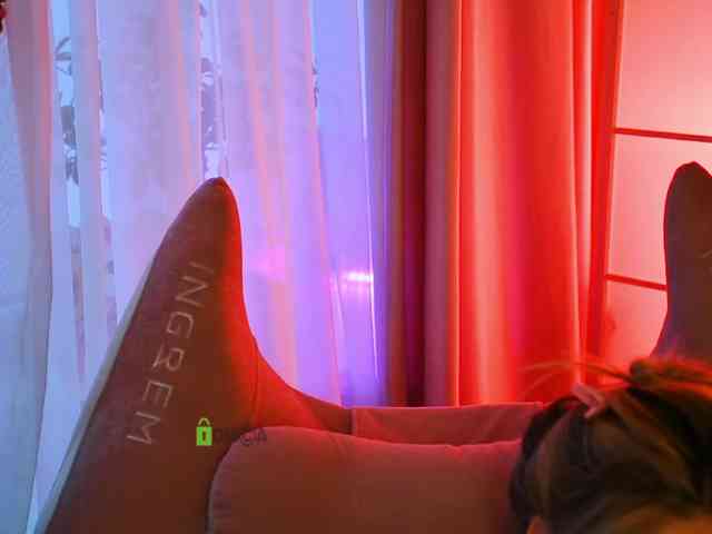 -ANN webcam