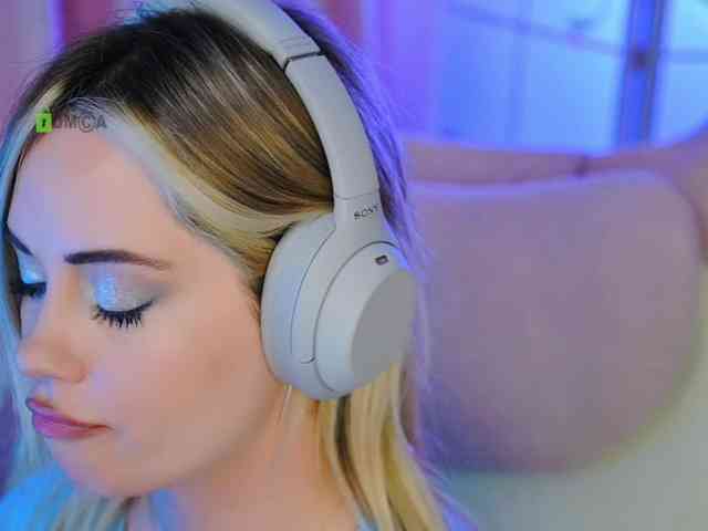 -ANN webcam