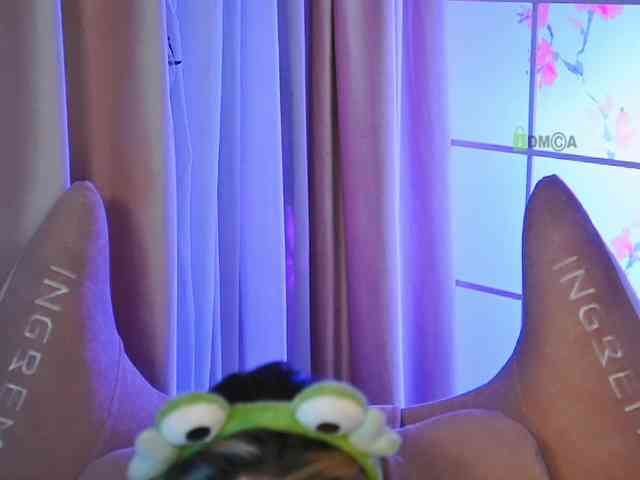 -ANN webcam