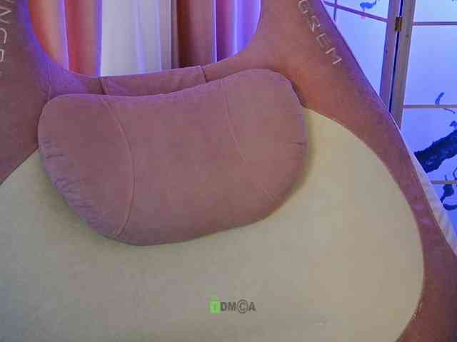 -ANN webcam