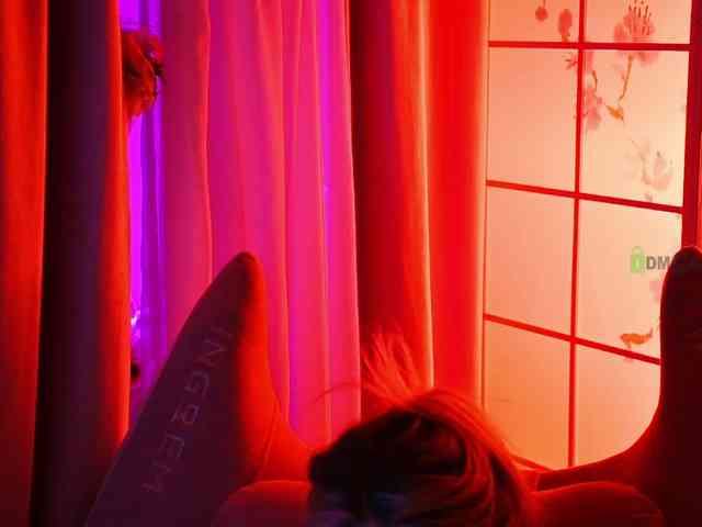 -ANN webcam