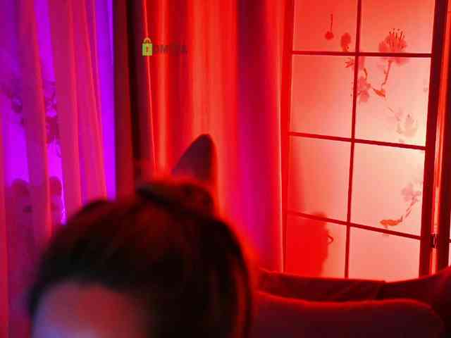-ANN webcam