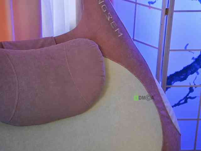 -ANN webcam